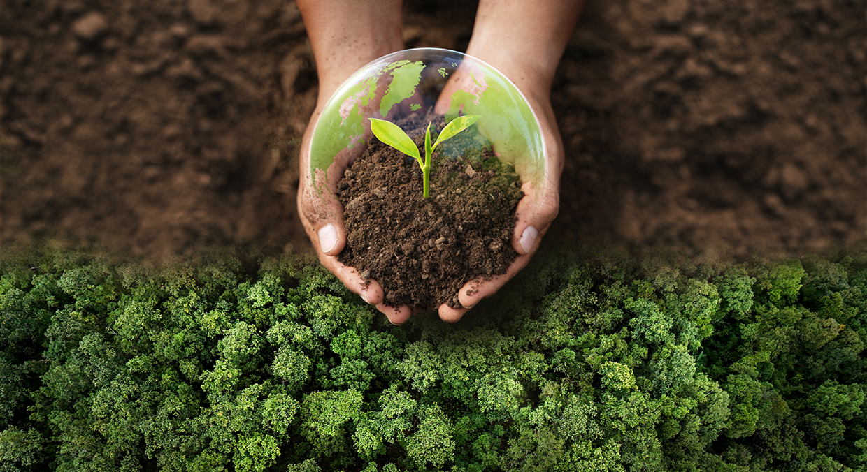 企業導入可分解包裝